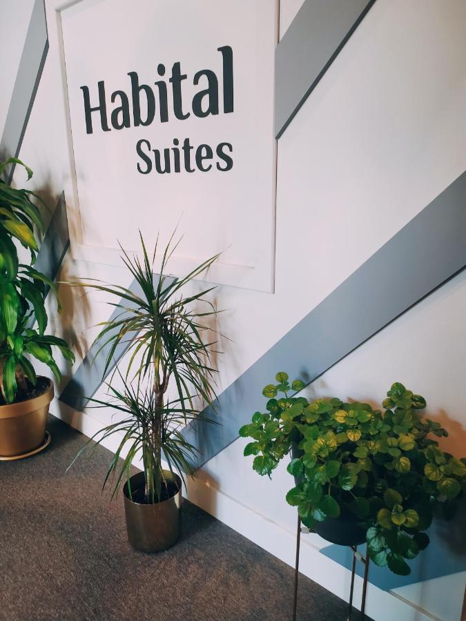 Habital Suites Jaca Exterior foto